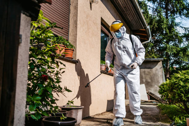 Best Best Pest Control Companies  in Powderly, TX