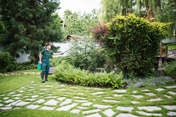 Best Pest Prevention Services  in Powderly, TX