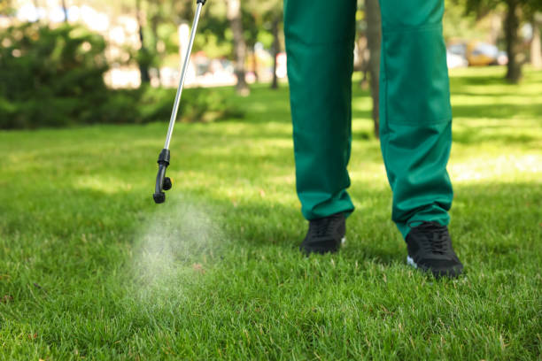 Best Rat Extermination Near Me  in Powderly, TX