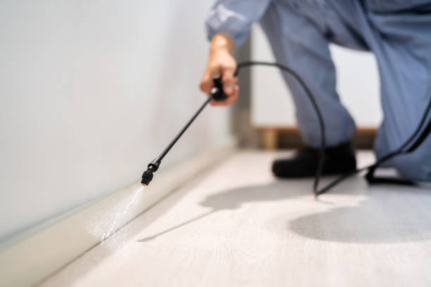 Professional Pest Control in Powderly, TX