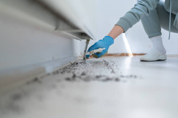 Wildlife Control Services in Powderly, TX