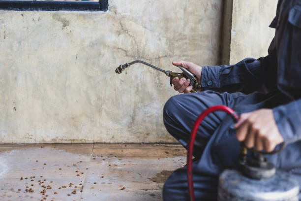Best Commercial Pest Control Services  in Powderly, TX