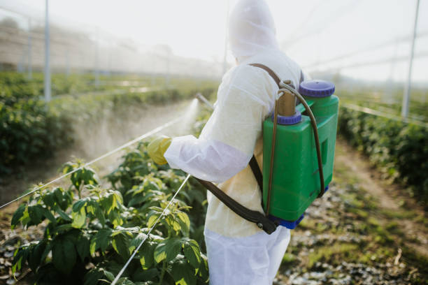 Best Pest Removal Services  in Powderly, TX